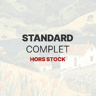 Balise titre personnalisée produit standard complet