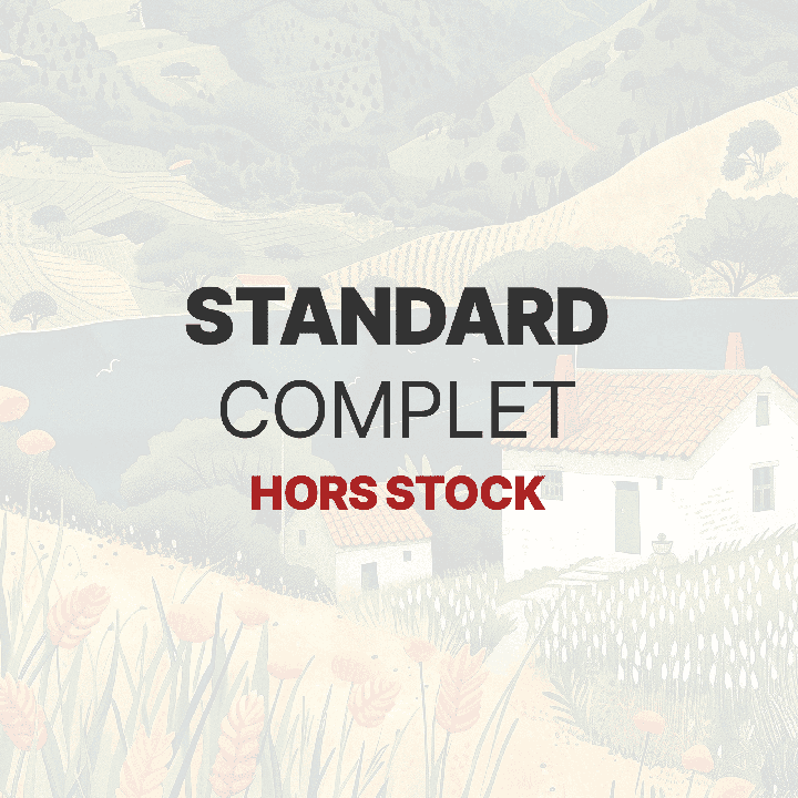 Balise titre personnalisée produit standard complet